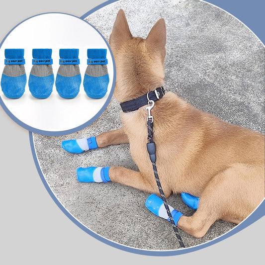 2 Pares de Botas para Perro Antideslizantes e Impermeables 🐾👟